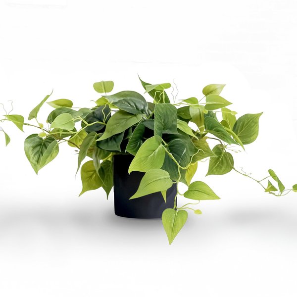 Forever Leaf Artificial Pothos Plant with Black Pot FL03102